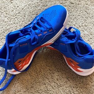 Florida Gators Jordan sneaker